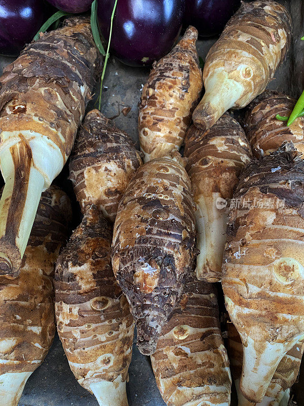 在一个户外果蔬市场上出售的芋头根(Colocasia esculenta)和茄子(Solanum melongena)